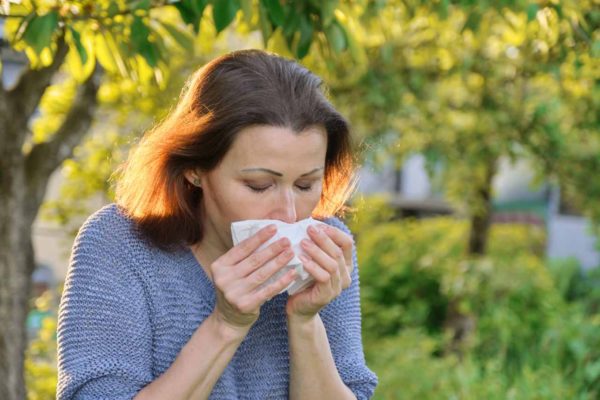 Kalendarz pylenia roślin dla alergików – kiedy zaczyna pylić?